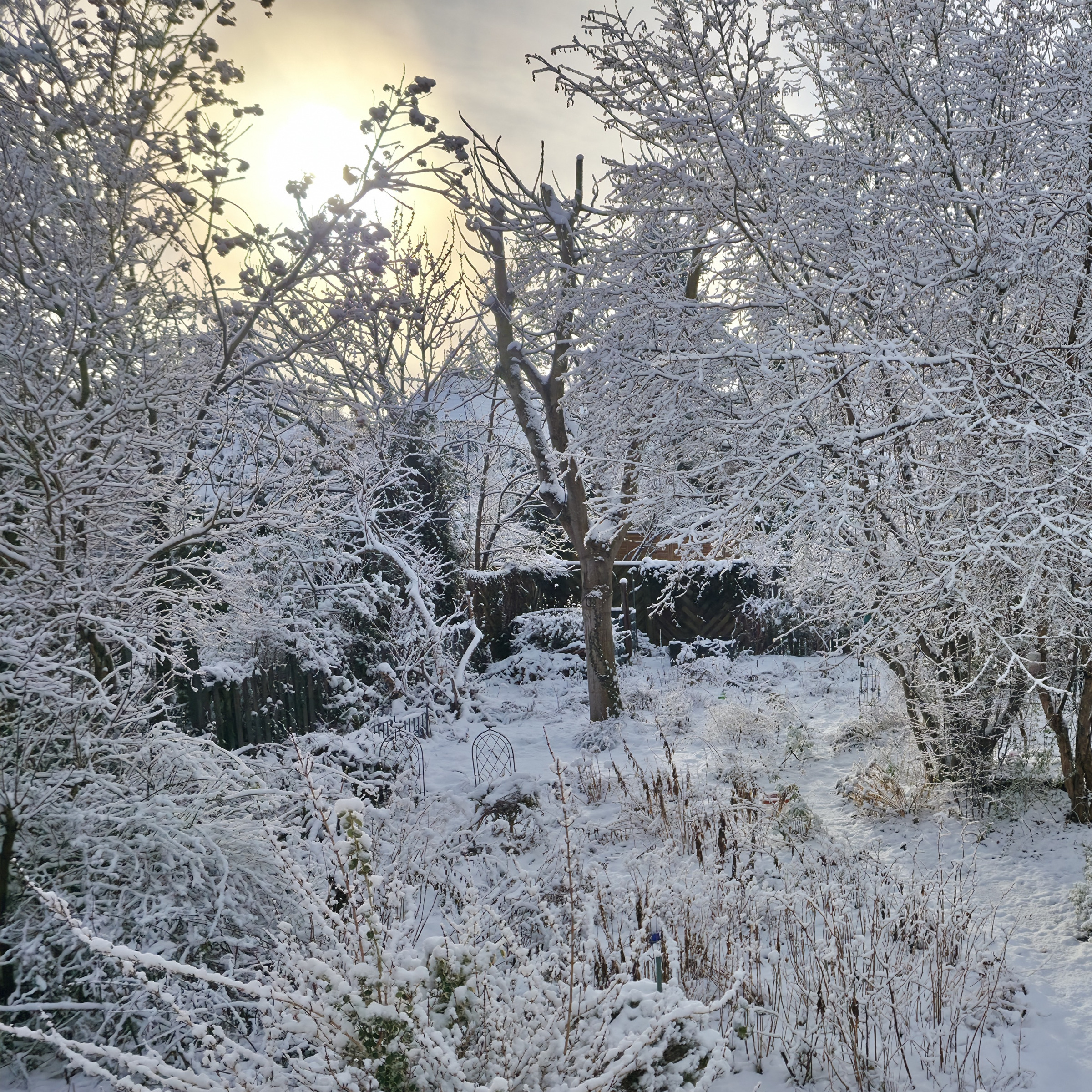Foto eines winterlichen Gartens mit Schneedecke